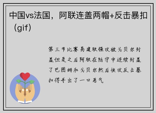 中国vs法国，阿联连盖两帽+反击暴扣（gif）